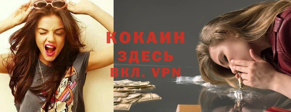 винт Пересвет