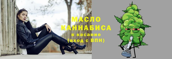 винт Пересвет