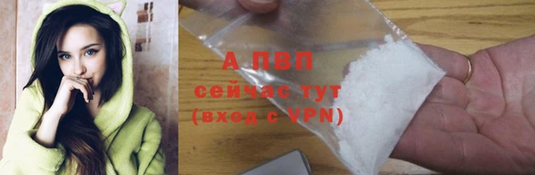 винт Пересвет
