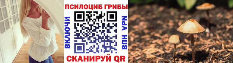 это какой сайт  Печора  Галлюциногенные грибы прущие грибы  как найти закладки 