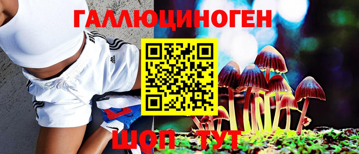 Печора  где купить   Вход с VPN  Псилоцибиновые грибы мухоморы 