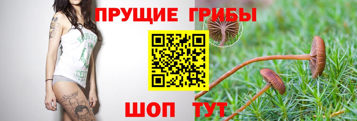 ГАШИШ Печора
