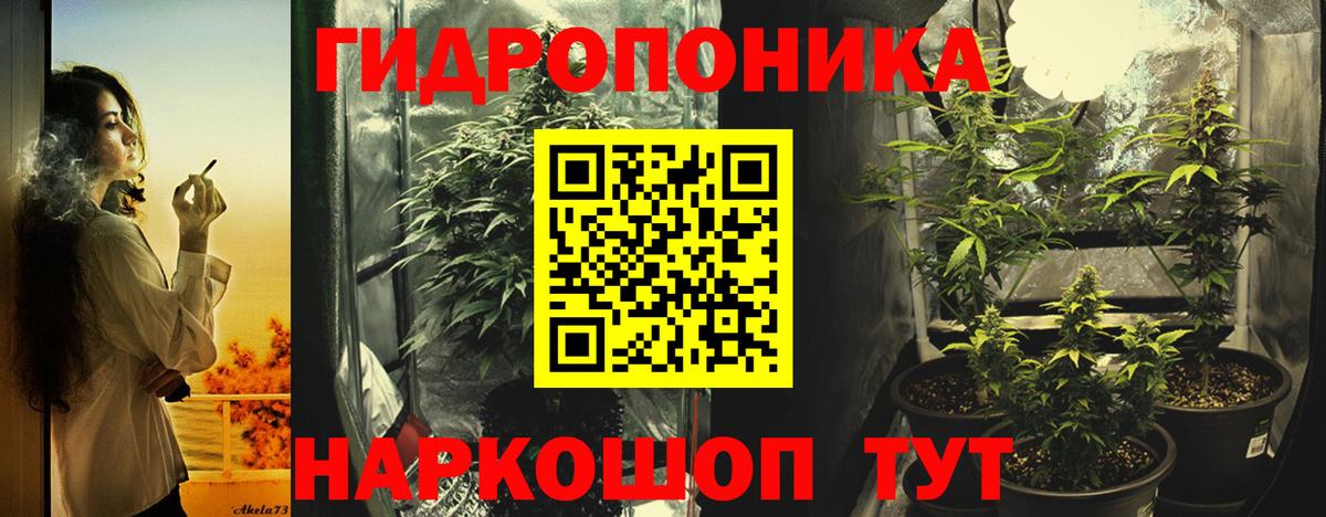 МАРИХУАНА планчик Печора